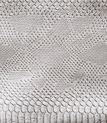 Carnet Python blanc dentelle noire A5
